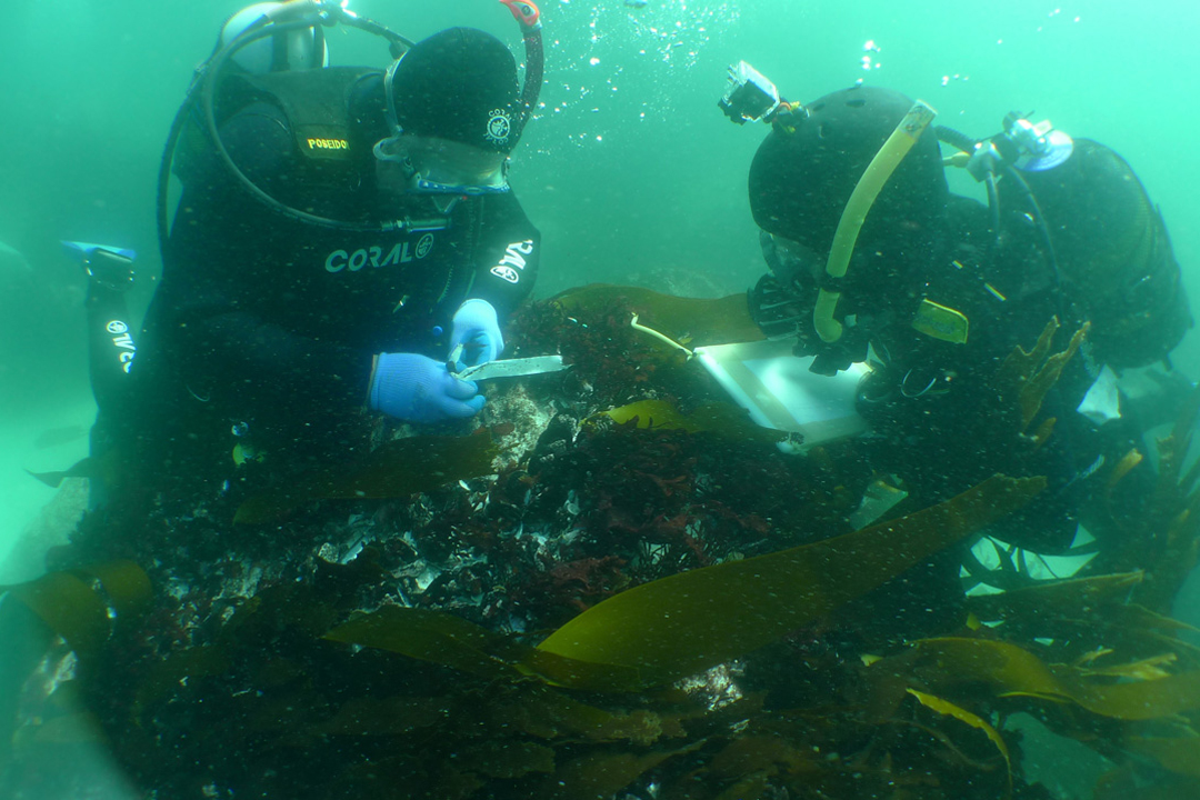 Maritime archaeologists Jaco Boshoff and Jake Harding, from the Iziko Museum in Cape Town, record findings at the site. (Iziko Museums)