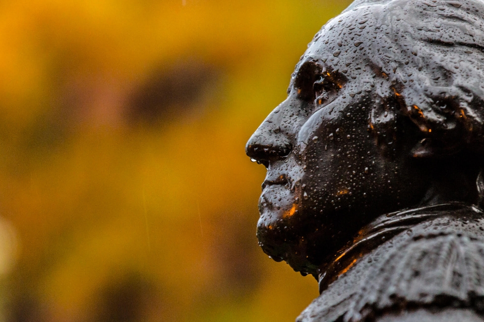 George on a rainy day