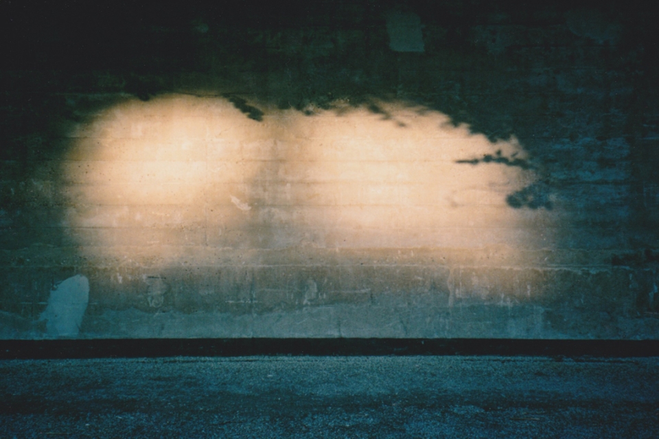 Lungs Darker (Courtesy Ding Ren)