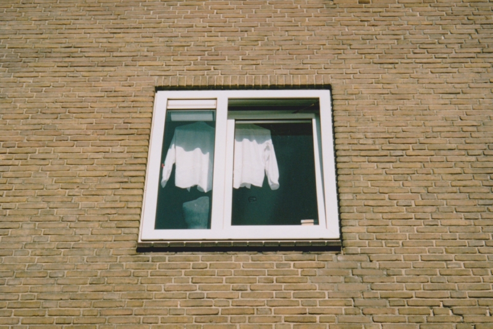 White Shirts (Courtesy Ding Ren)