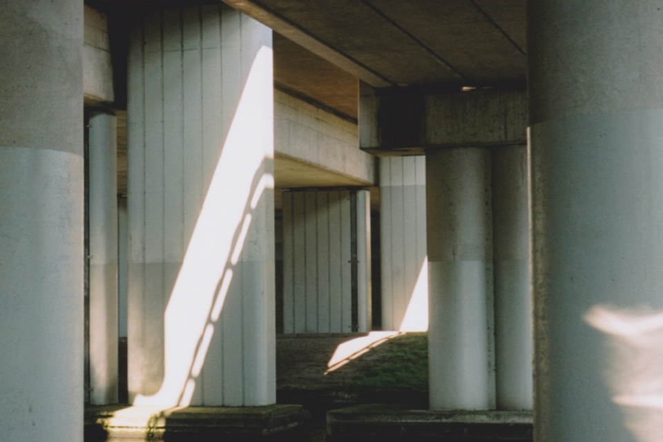 Ribs Redux (Courtesy Ding Ren)