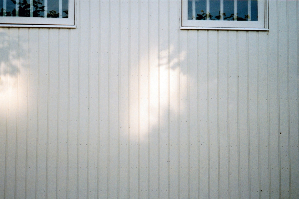 Subtle Light (Courtesy Ding Ren)