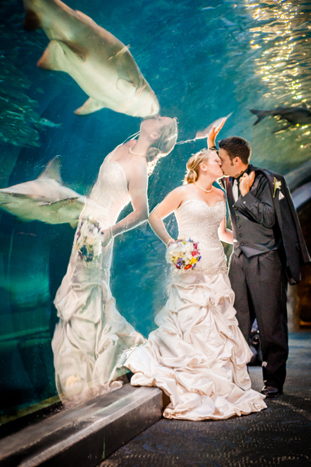 wedding couple kissing in shark tunnel