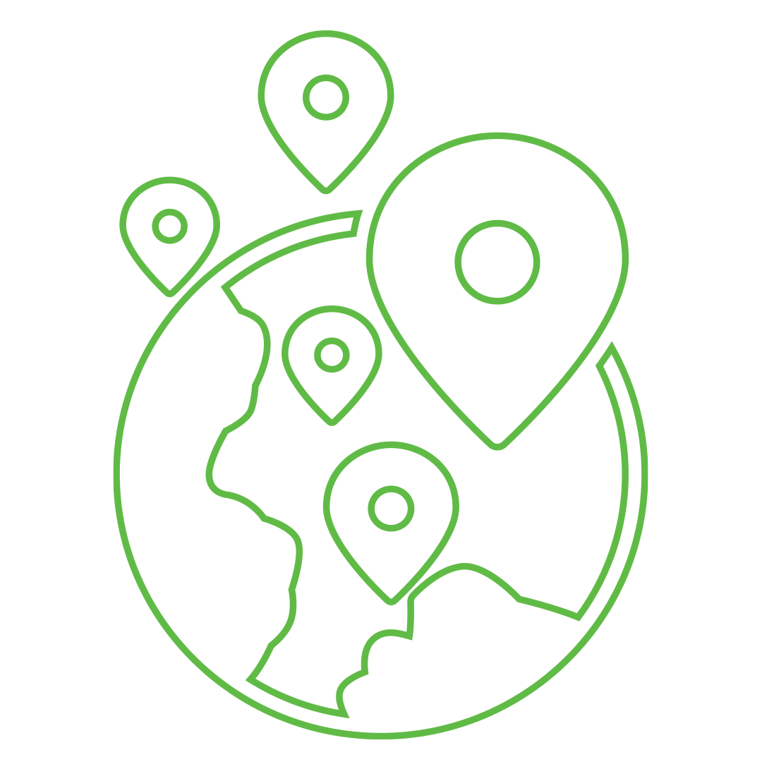 Globe icon