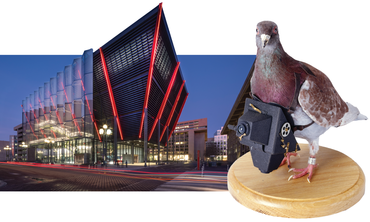 Museum and pigeon