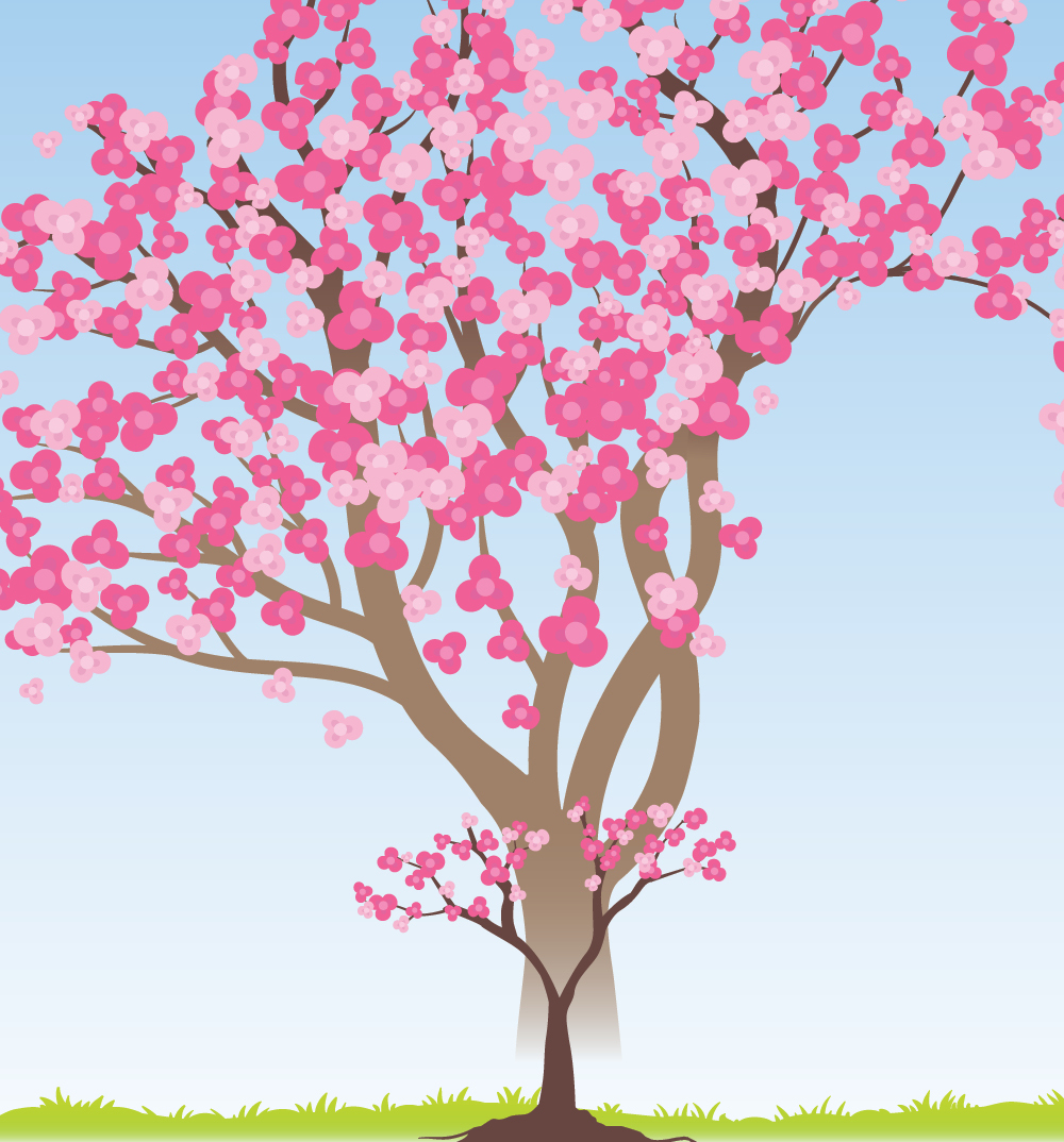 Illustration of a tree with pink flowers