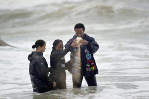 Soil is poured over the water by divers (from left) Tara Van Niekerk, Yara de Larice and Kamau Sadiki. (Rodger Bosch/AFP/Getty Images)