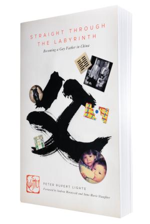 Straight through the Labyrinth book cover