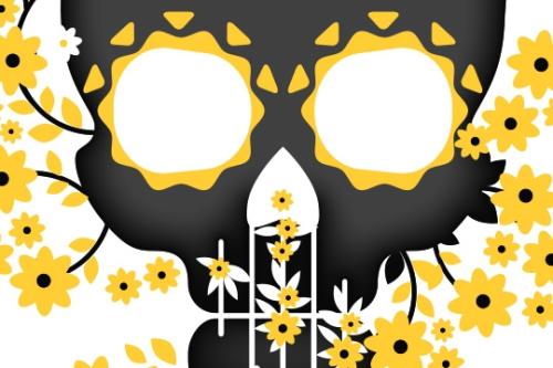 graphic illustration of a skull 