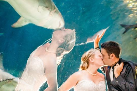 So you went viral. What next?