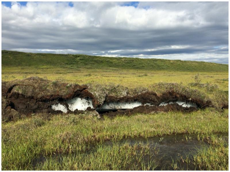 Ground ice exposure in the North Slope of Alaska