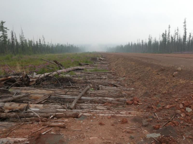 Logs along the side of a road in Siberia