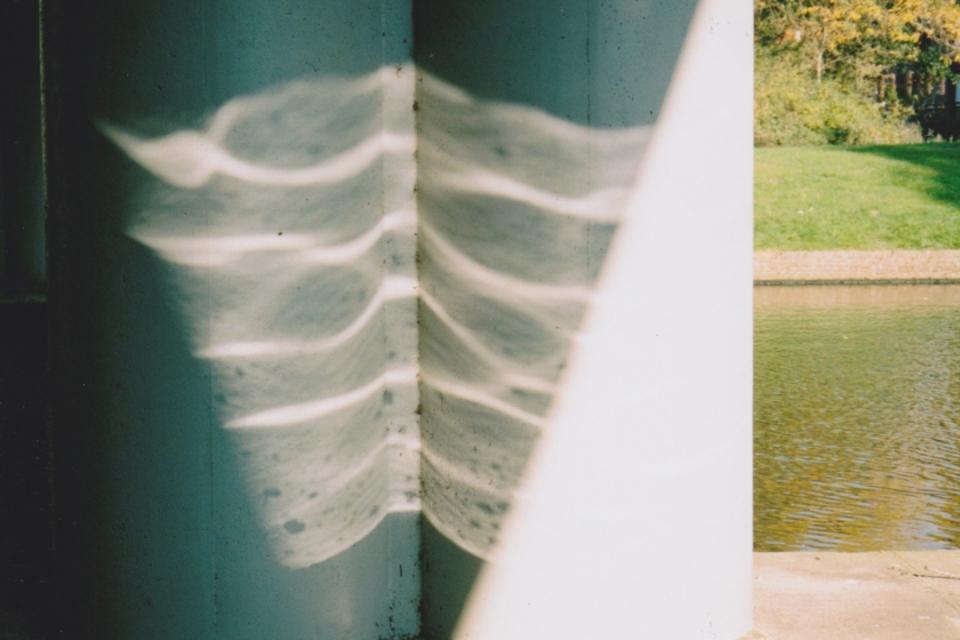 Ribs (Courtesy Ding Ren)