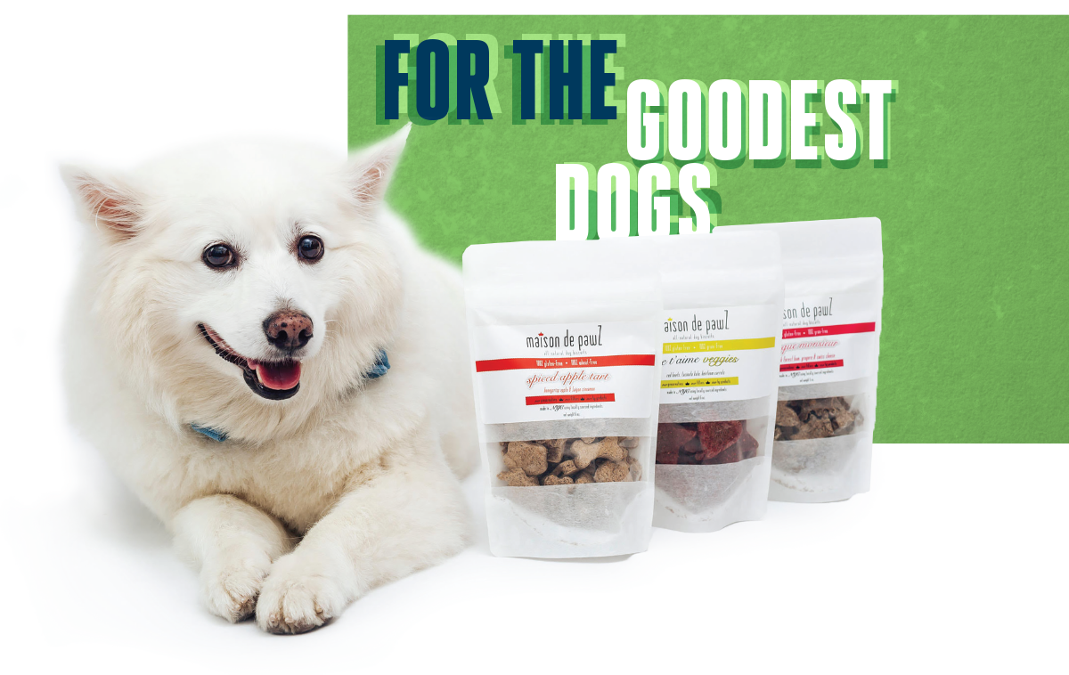 For the Goodest Dogs