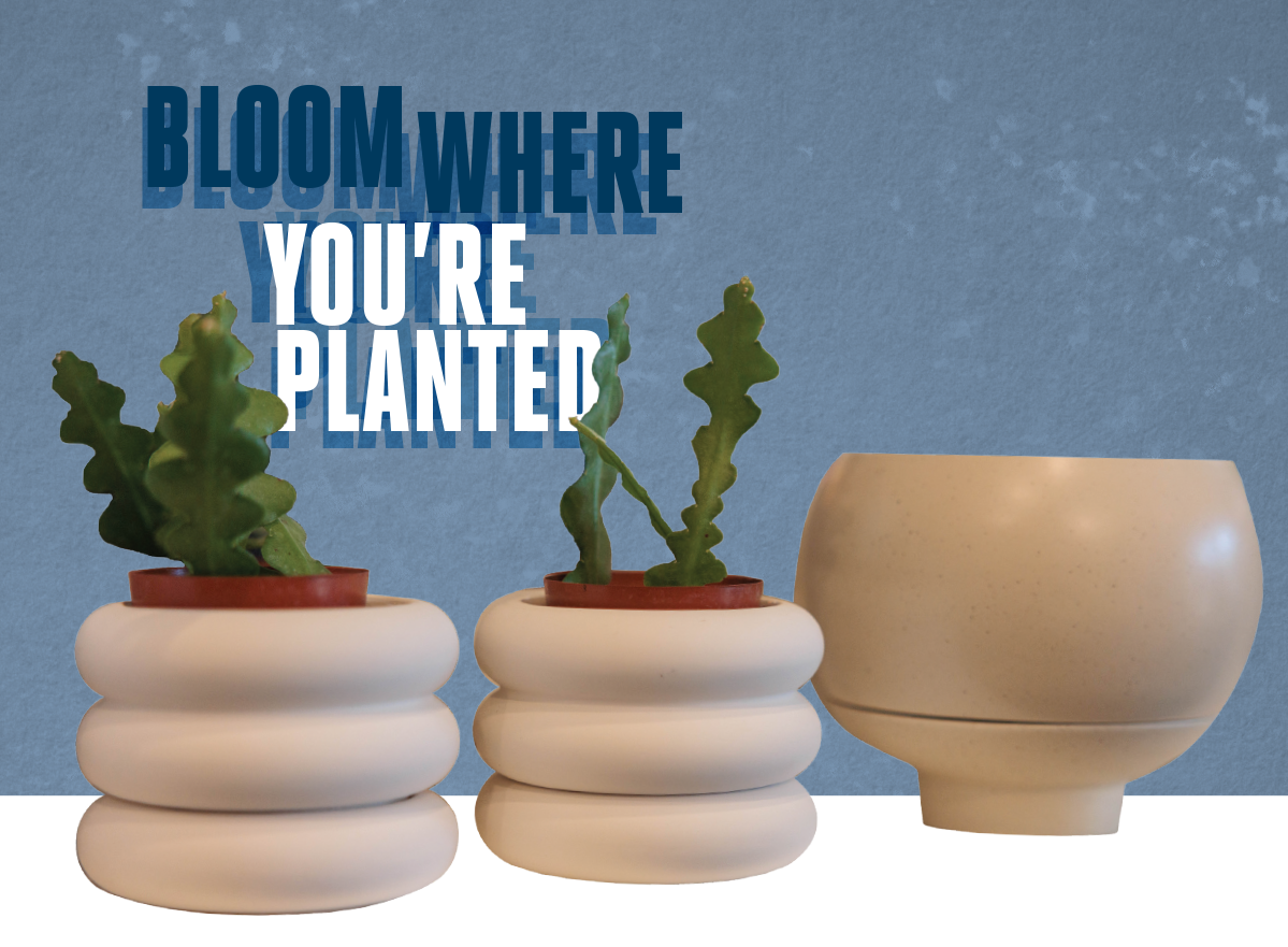 Bloom Where You're Planted