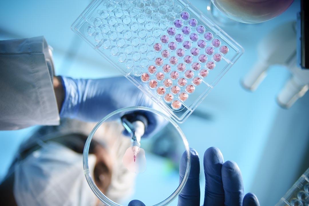 A researcher places a liquid into a petri dish